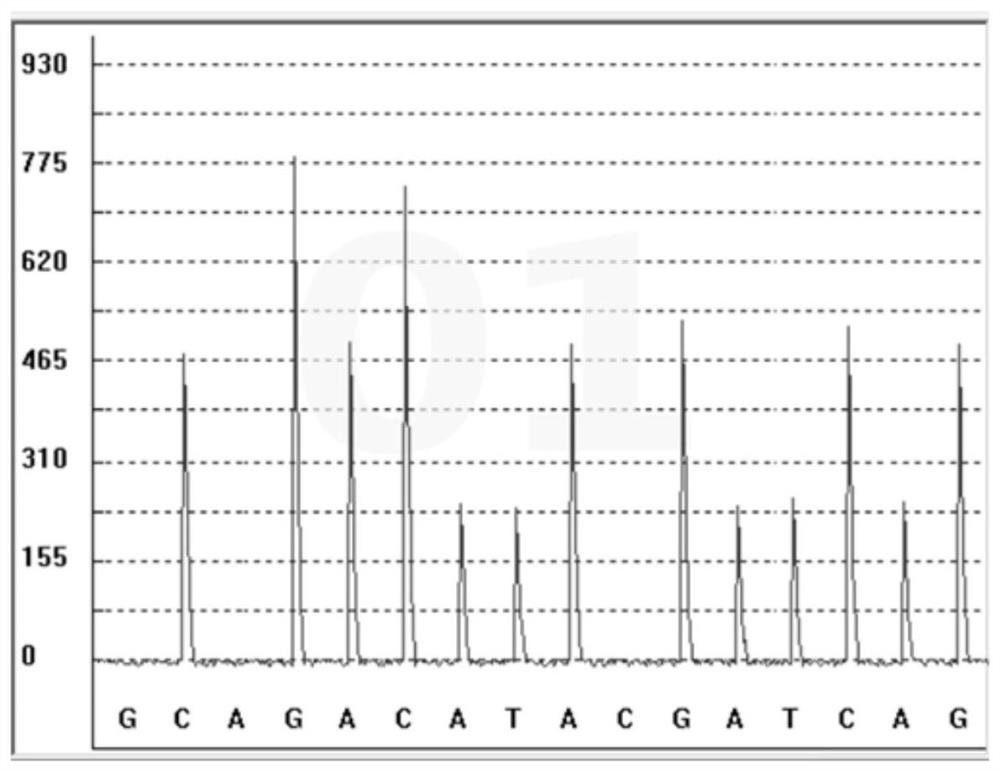 Rapid reaction kit for predicting dosage of traserine, and detection method and application thereof