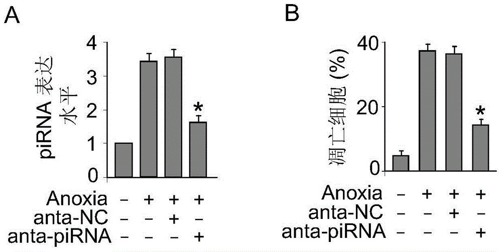 piRNA antisense nucleotide pharmaceutical composition and application thereof