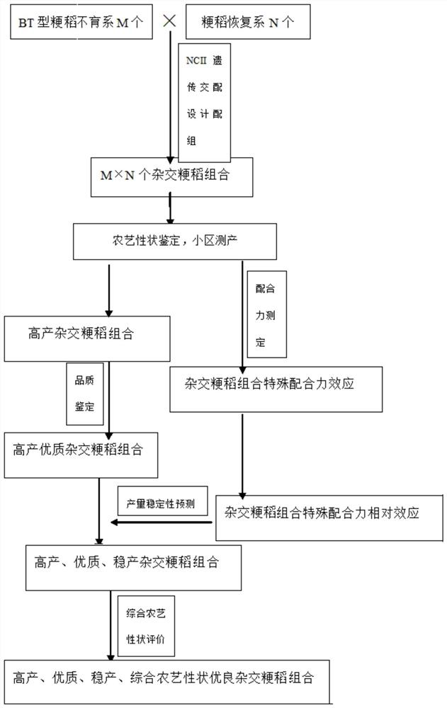 A Method for Predicting Yield Stability of Hybrid Japonica Rice Combination