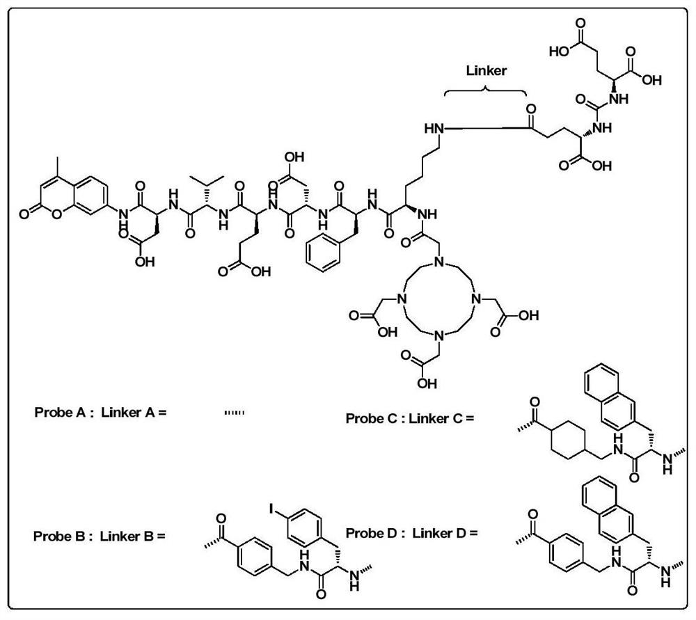 A kind of dual-enzyme system probe and its application