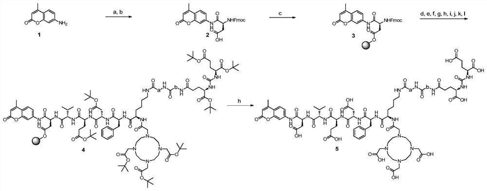 A kind of dual-enzyme system probe and its application