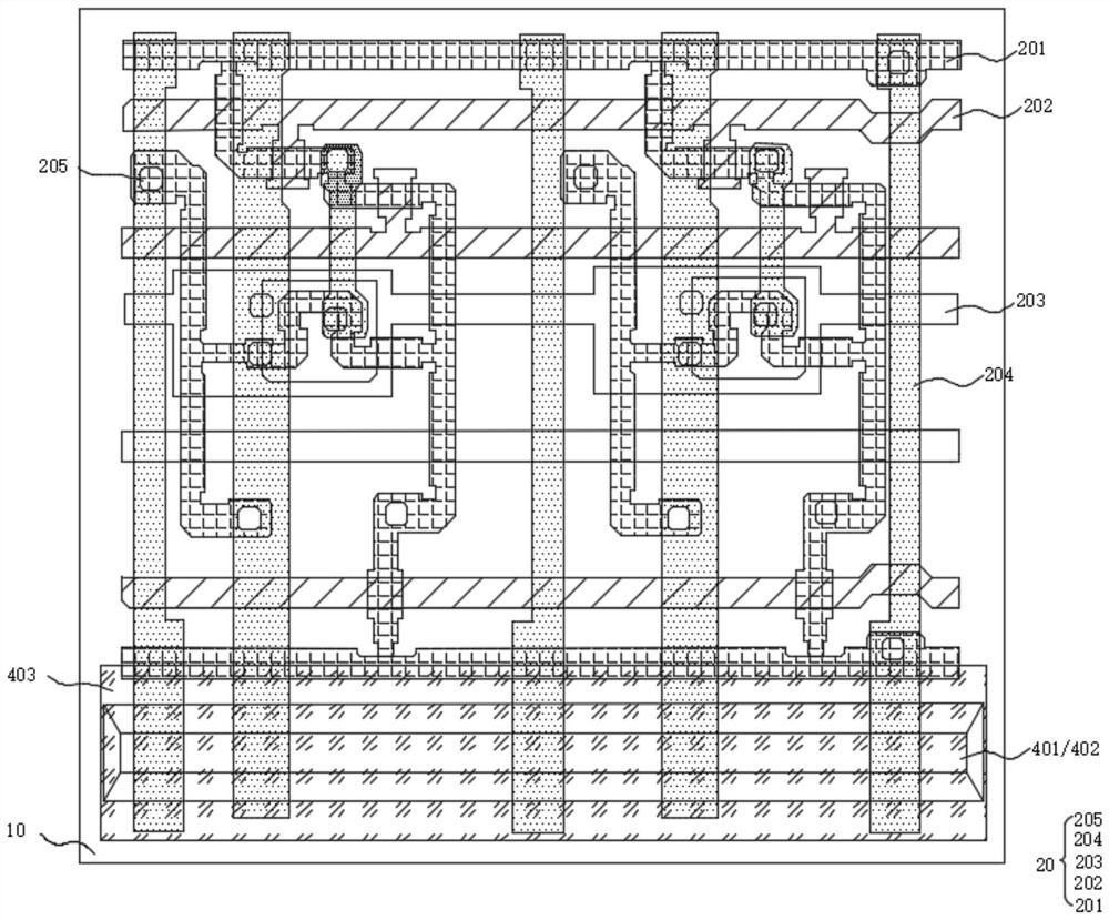 Flexible display panel and rollable display device