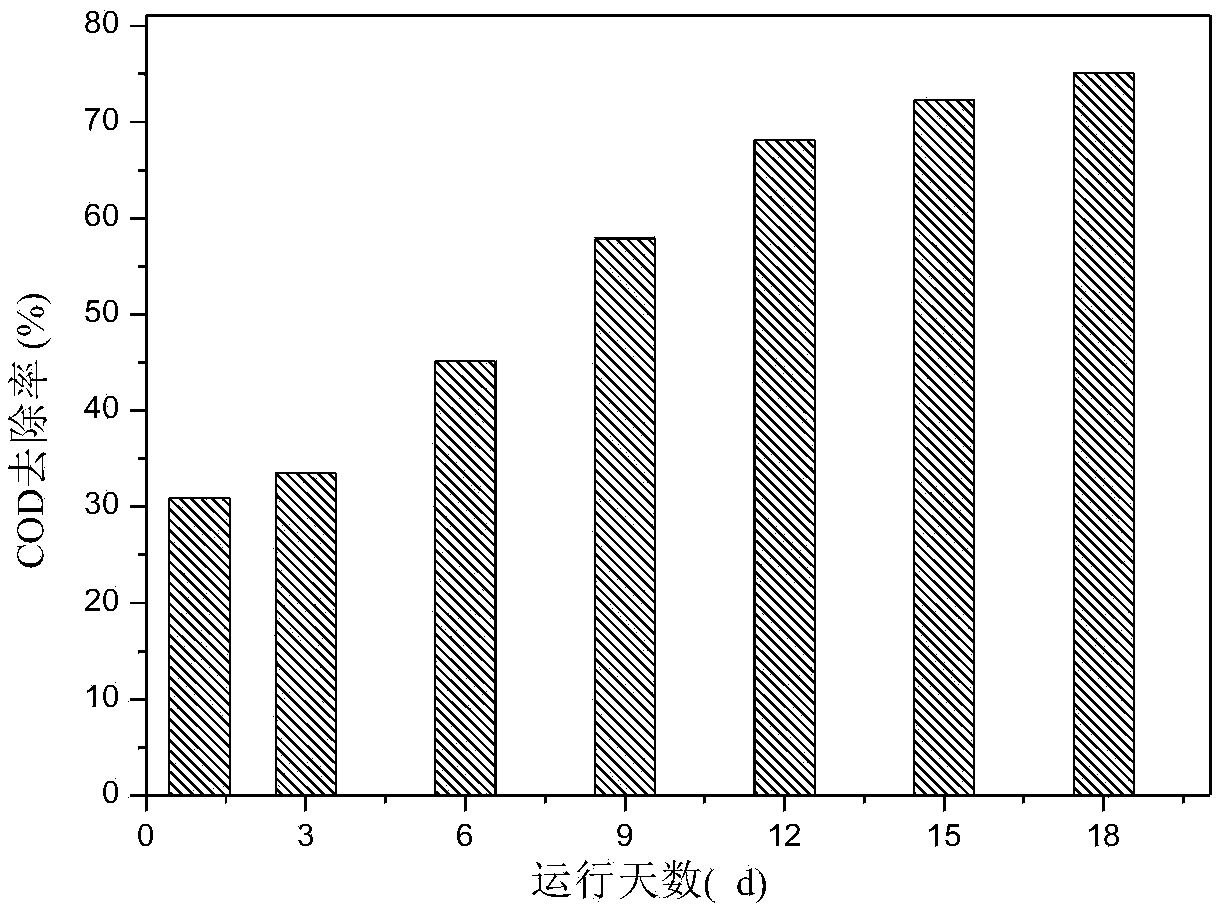Bacterial strain for treating high concentrated organic wastewater, microorganism bacterium agent and application thereof