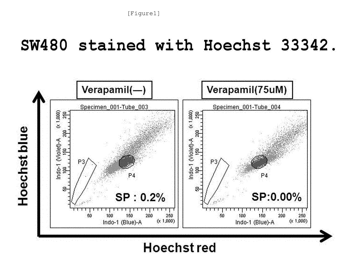 Tumor antigen peptide