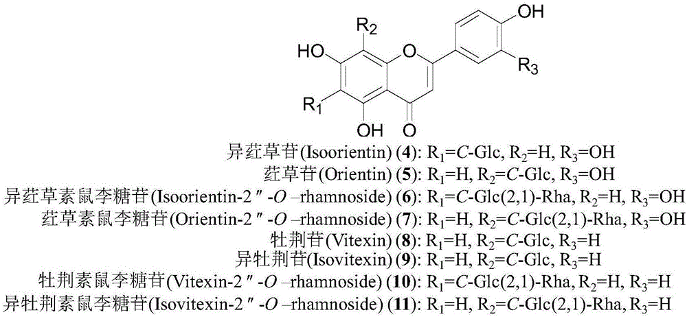 RRLC-Q-TOF-MS method for detecting diversified chemical components in leaves of tetrastigma hemsleyanum diels et gilg
