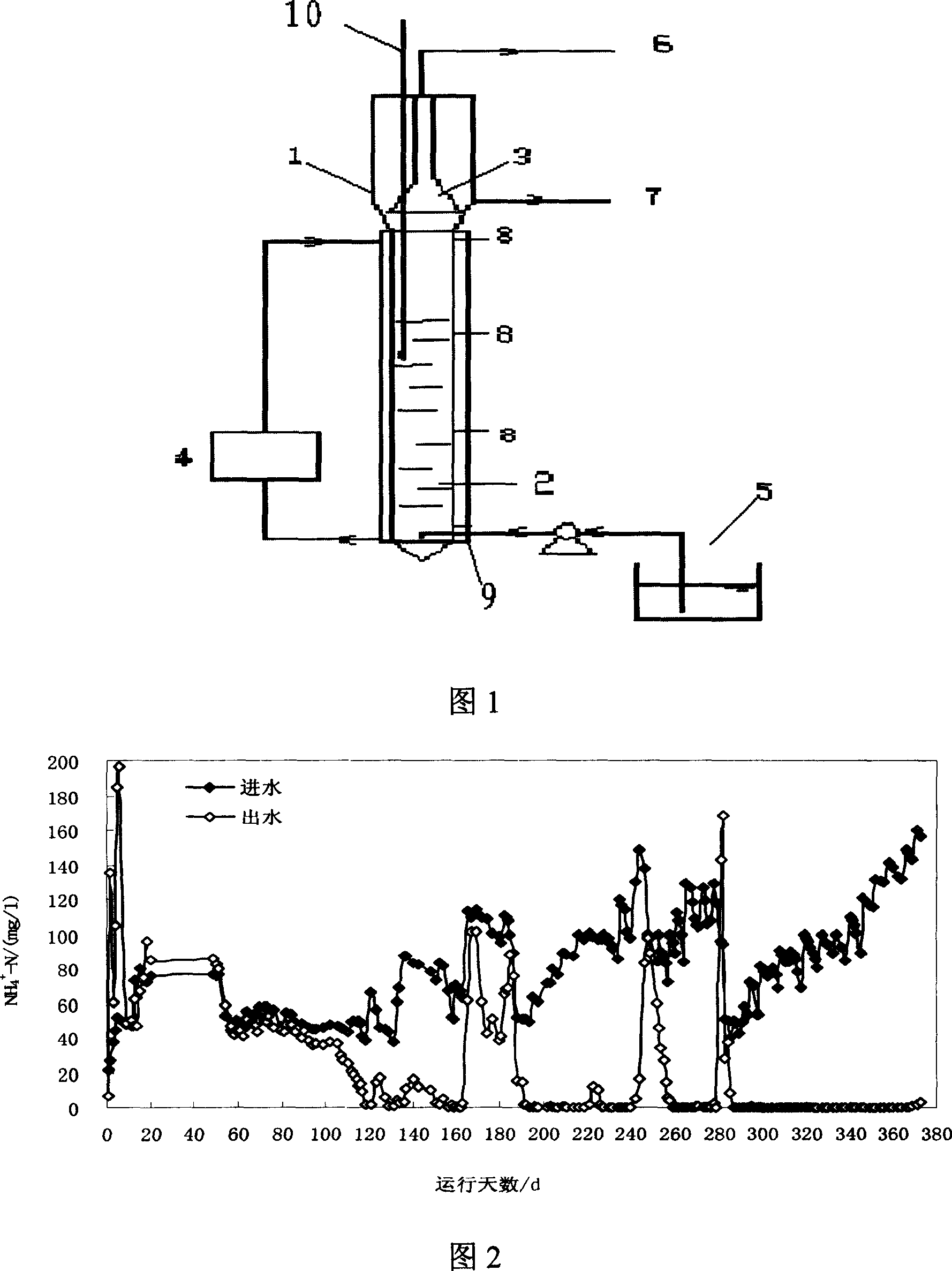 Temperature controlled USAB anaerobic ammoxidation strain denitrogenation method and its apparatus