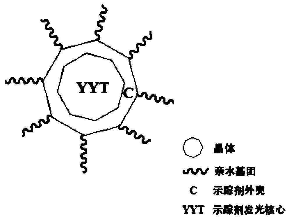 Synthetic method and application of 'YYTC tracer agent'