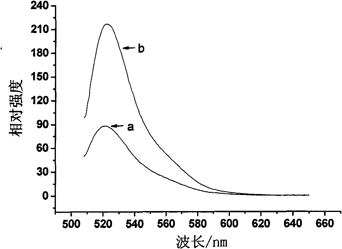 Preparation method of fluorescein sodium solution containing nano-sized metal particles