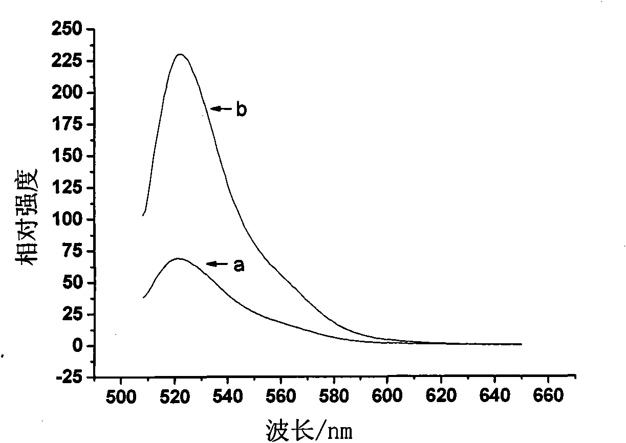 Preparation method of fluorescein sodium solution containing nano-sized metal particles
