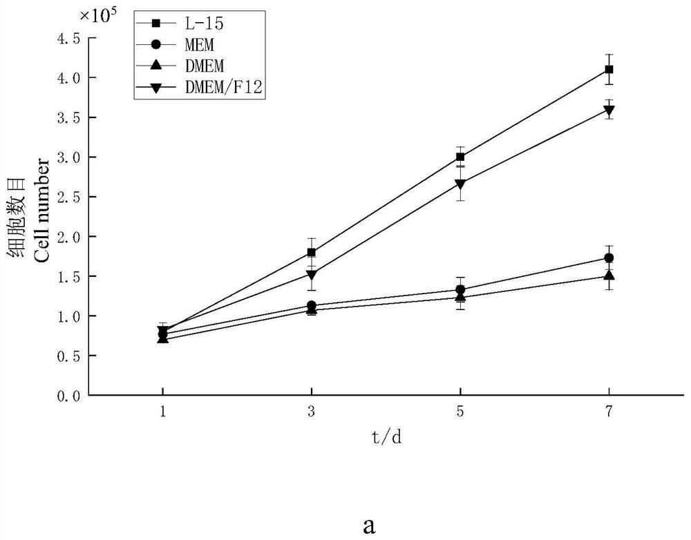 Oplegnathus punctatus brain cell line as well as construction method and application thereof