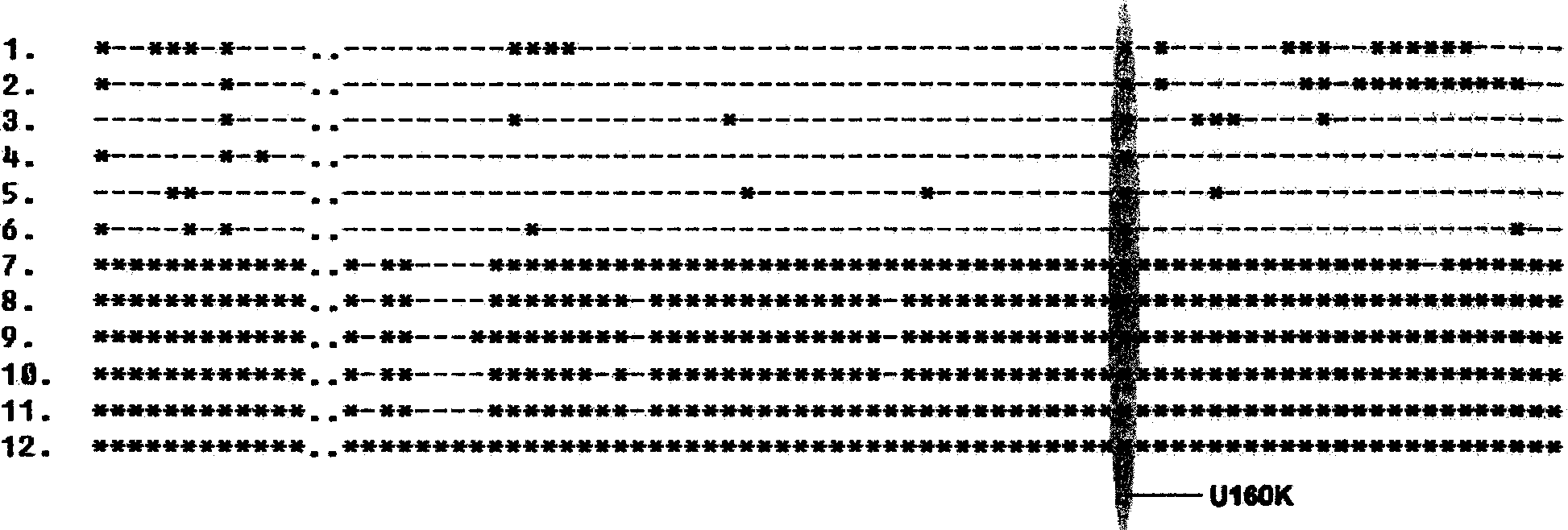 A segment differential nucleotide sequence of smallpox virus genom