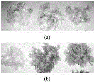 Dyeing auxiliary and preparing process thereof