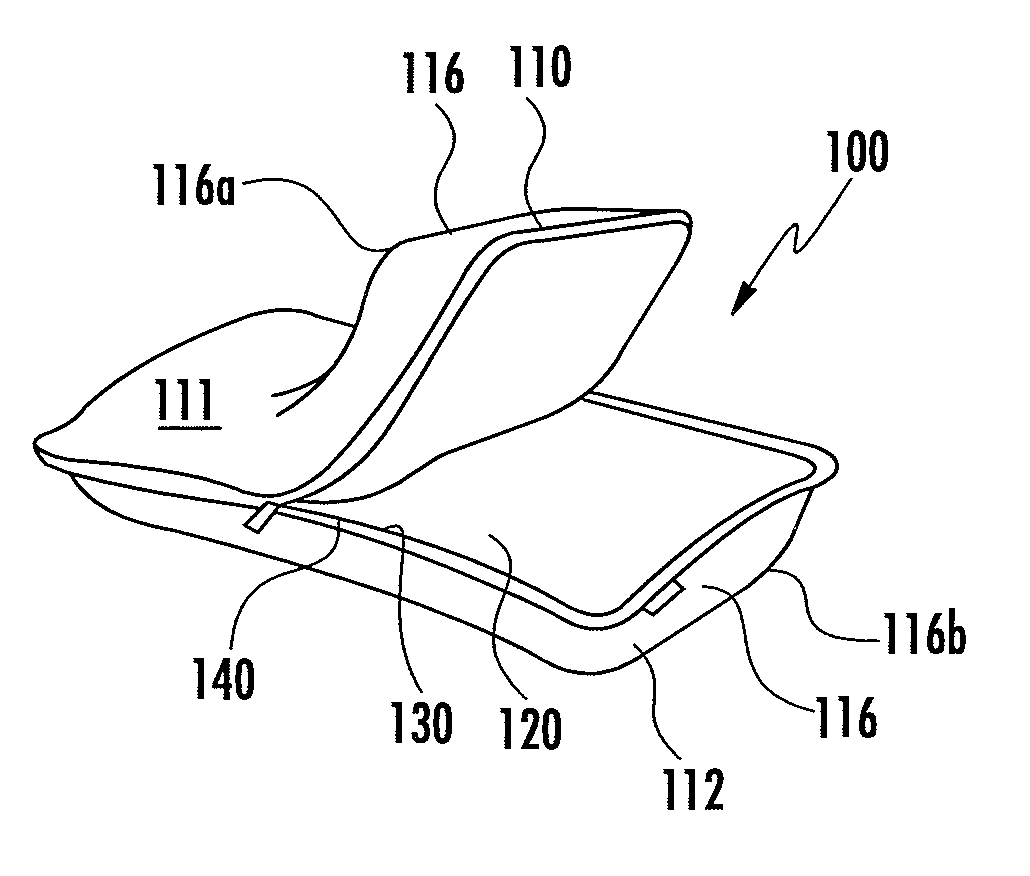 Pillow apparatus