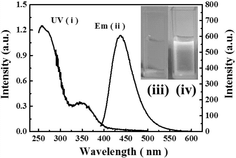 Polymer carbon dot with high fluorescent quantum yield and preparation method thereof, and application of polymer carbon dot to targeted detection of tumor cells
