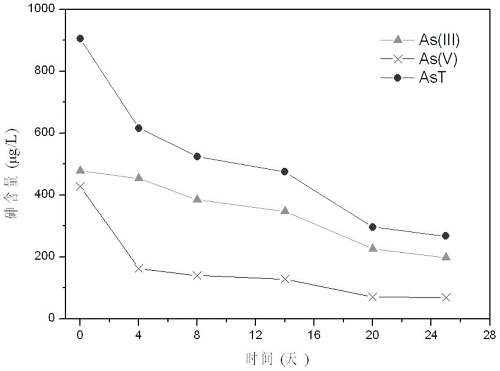 In-situ arsenic removing method of reductive underground water based on sulfate
