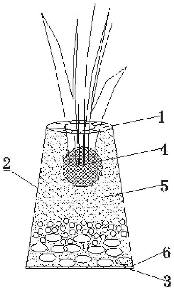 Submerged plant seed throwing cup capable of increasing survival rate