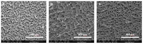 Hydrophobic anisotropic surface and preparation method and application thereof