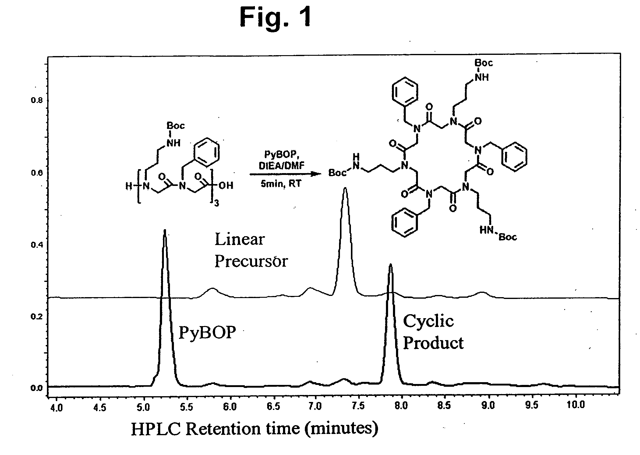 Peptoid oligomers, pharmaceutical compositions and methods of using the same
