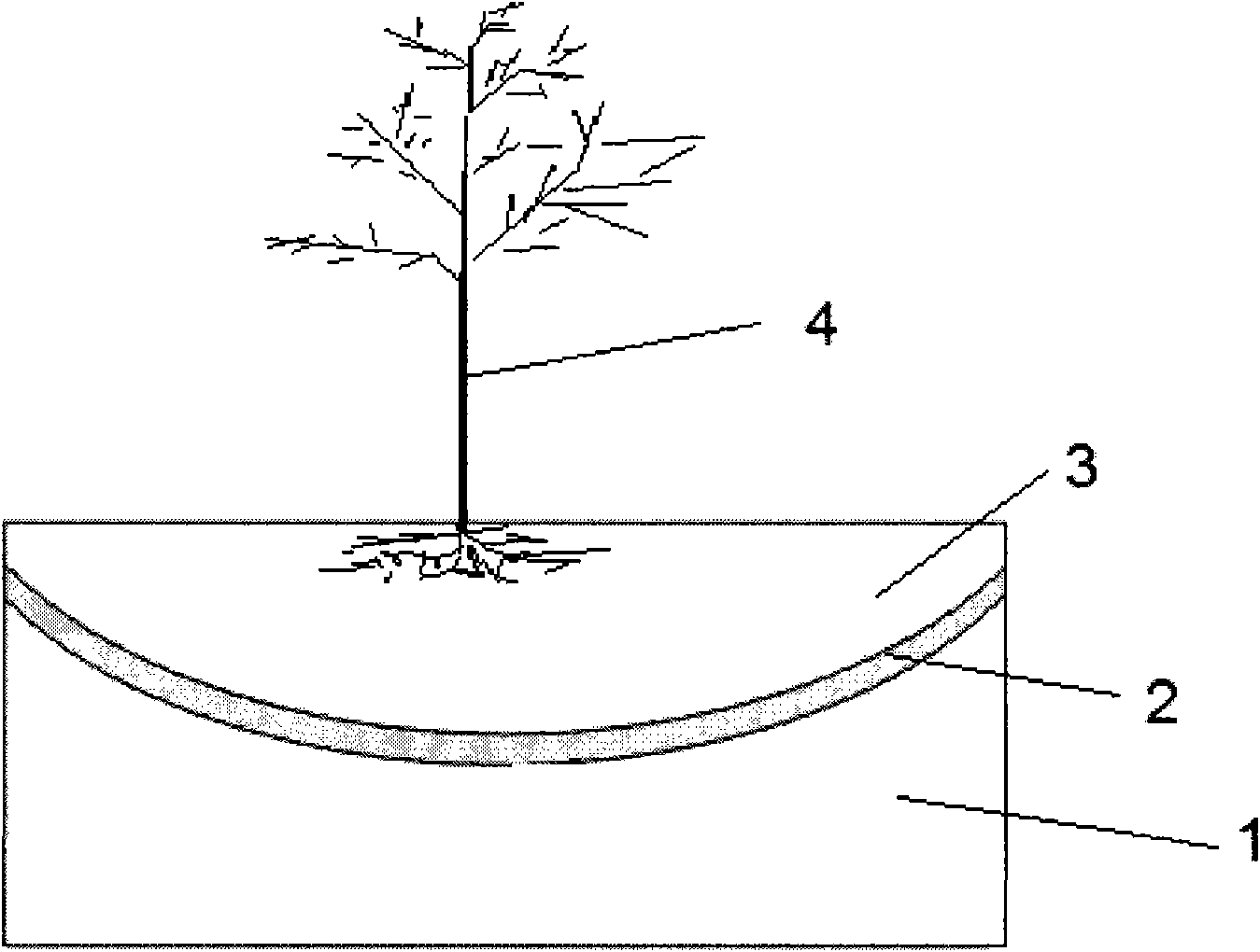 Desert planting structure, desert soil amendment method and planting method