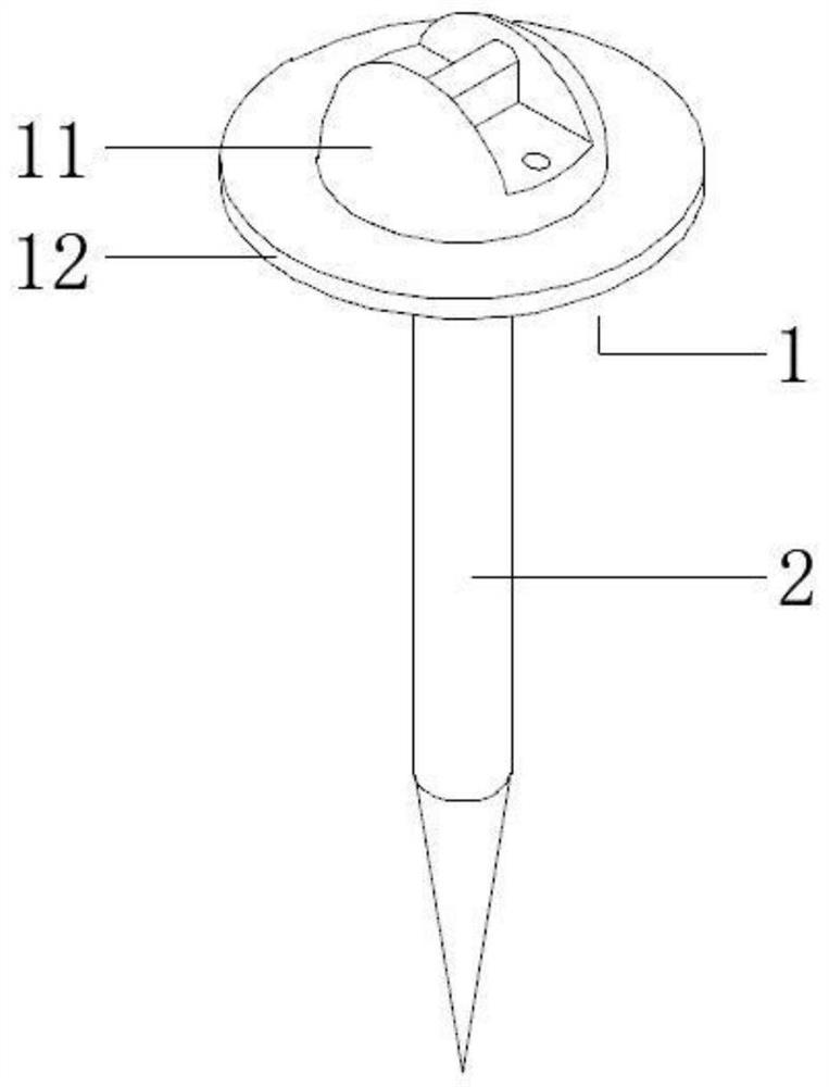 A screw for bone fixation