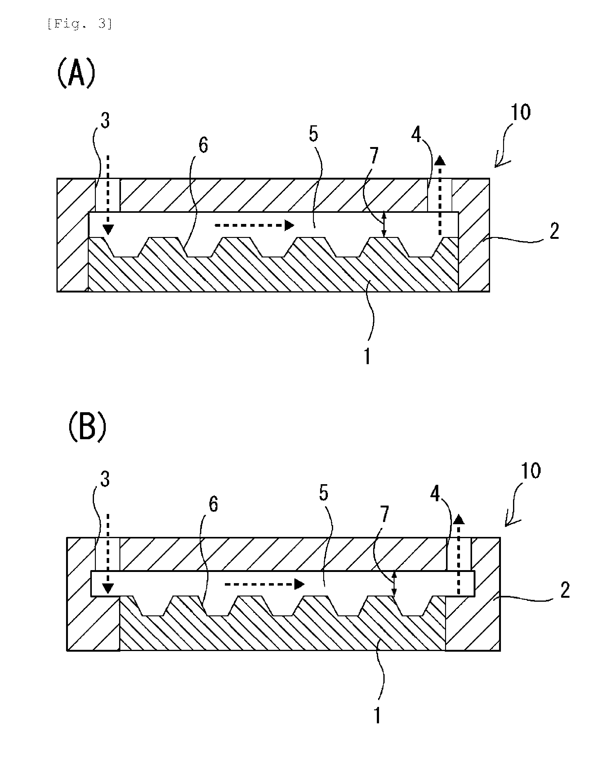 Method for recovering rare cells and method for detecting rare cells