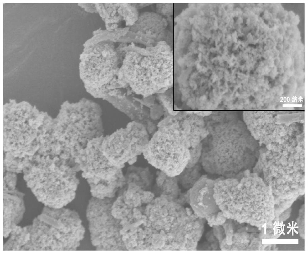 Indium phosphide-indium oxide p-n junction porous microsphere composite material as well as preparation method and application thereof
