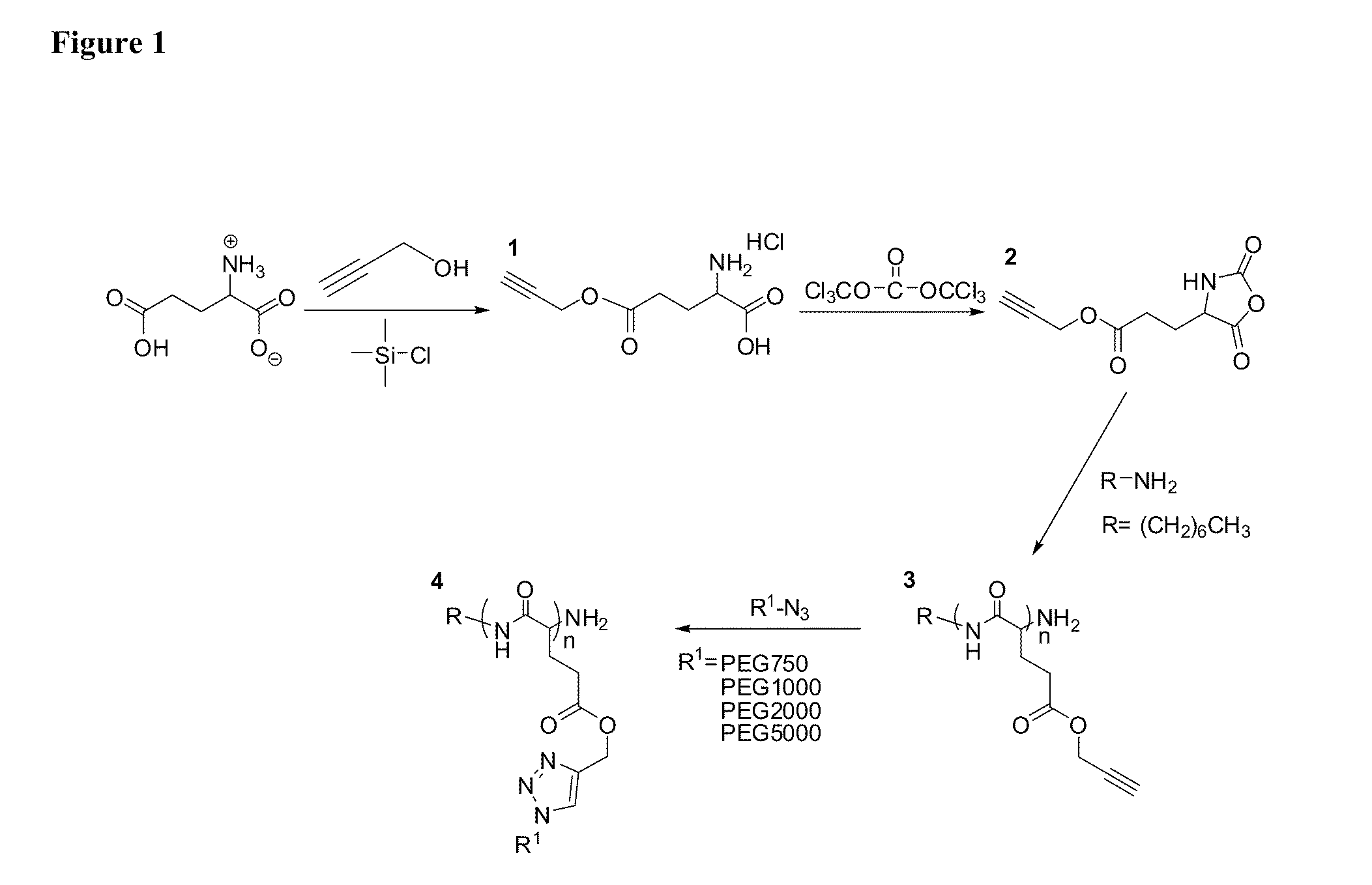 Poly(Propargyl-L-Glutamate) and Derivatives Thereof