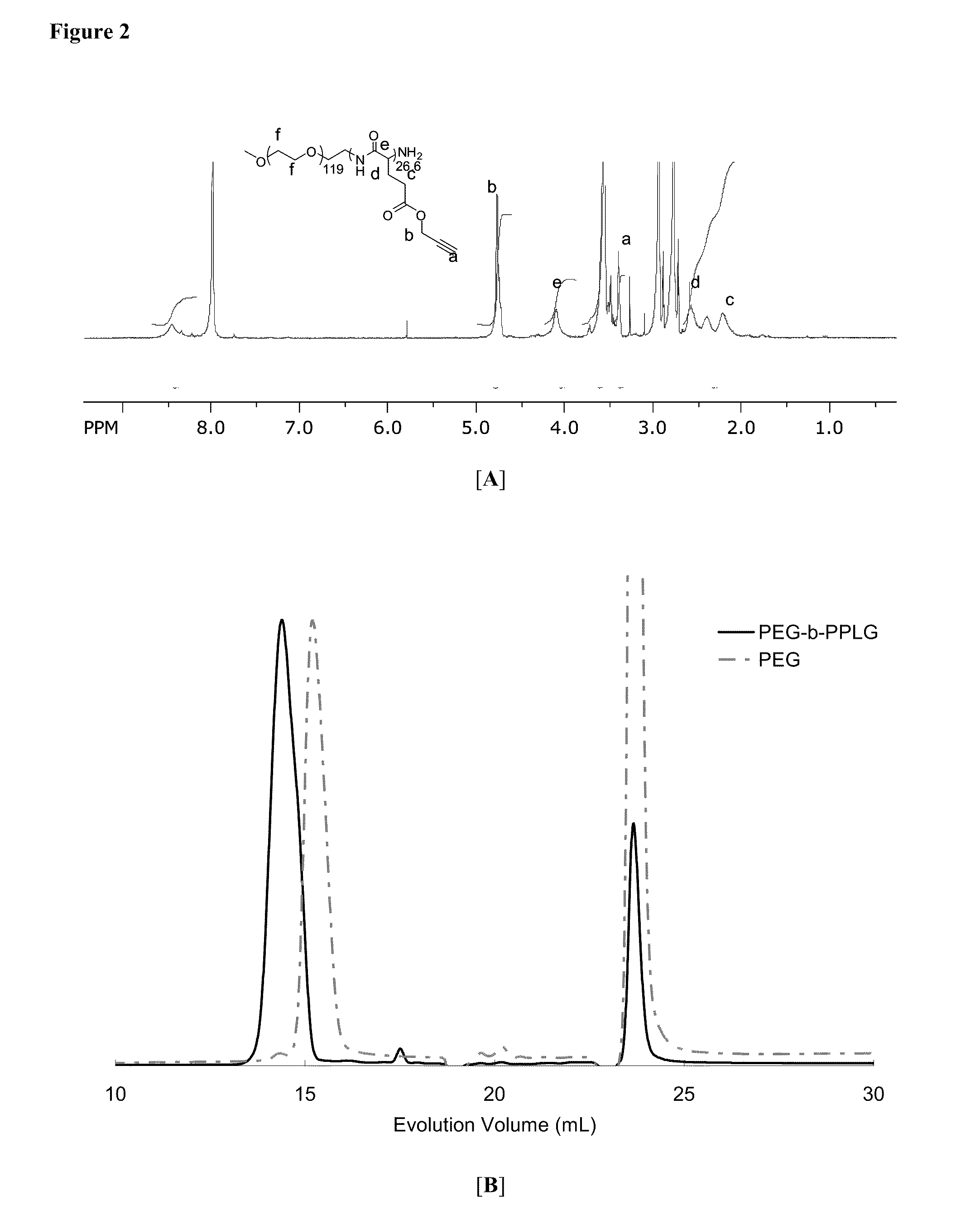Poly(Propargyl-L-Glutamate) and Derivatives Thereof