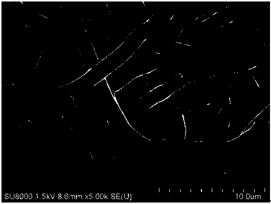 Preparation method of nanofiber lithium titanate composite material