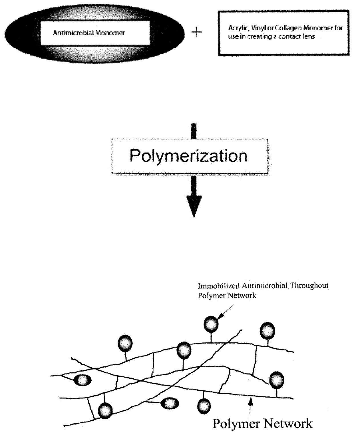 Antimicrobial Contact Lenses