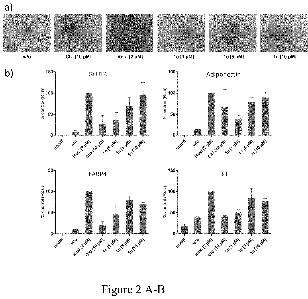 Diabetes and metabolic syndrome treatment with a novel dual modulator of soluble epoxide hydrolase and peroxisome proliferator-activated receptors