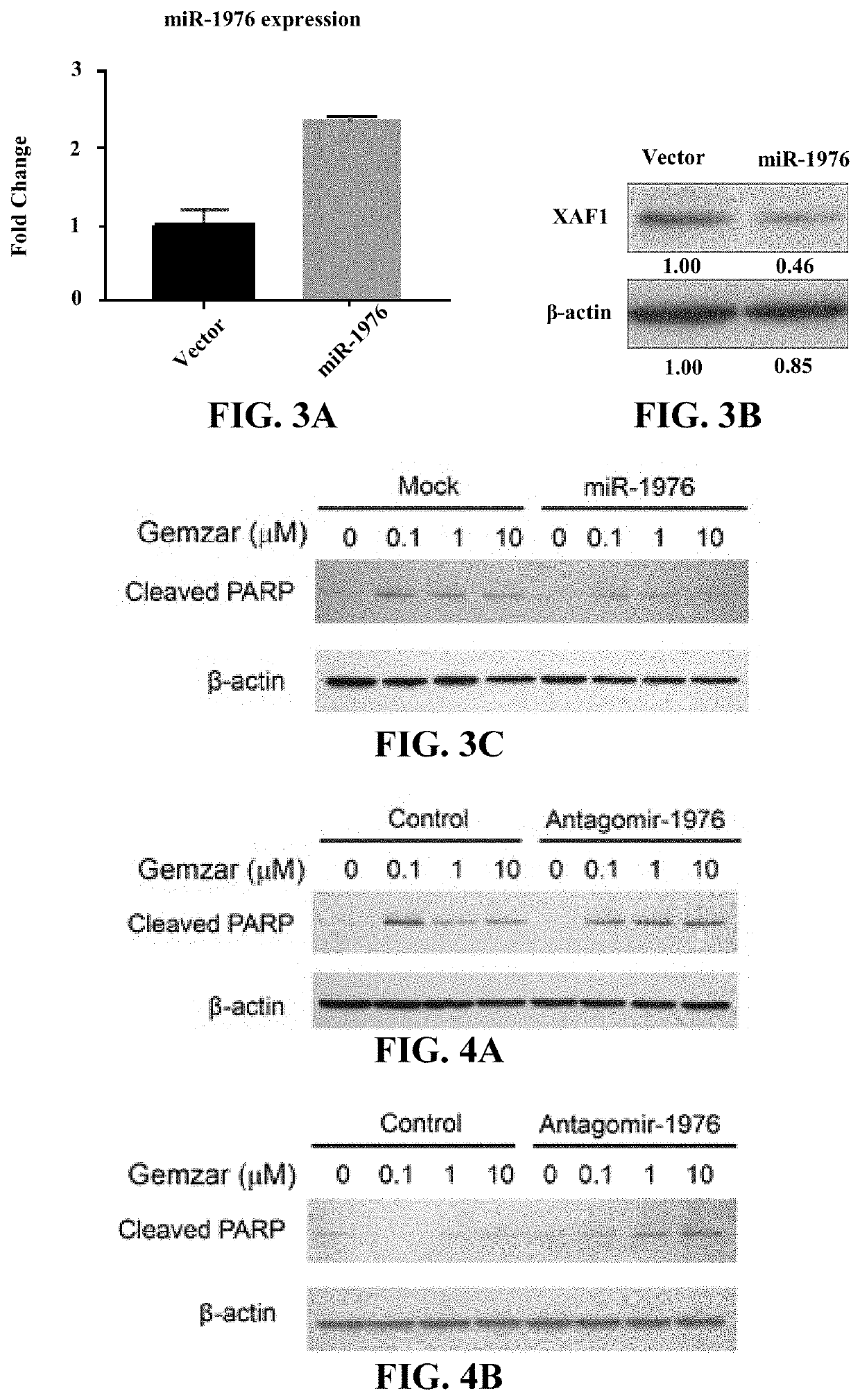 Chemotherapy drug-sensitizing method, agent composition and use thereof