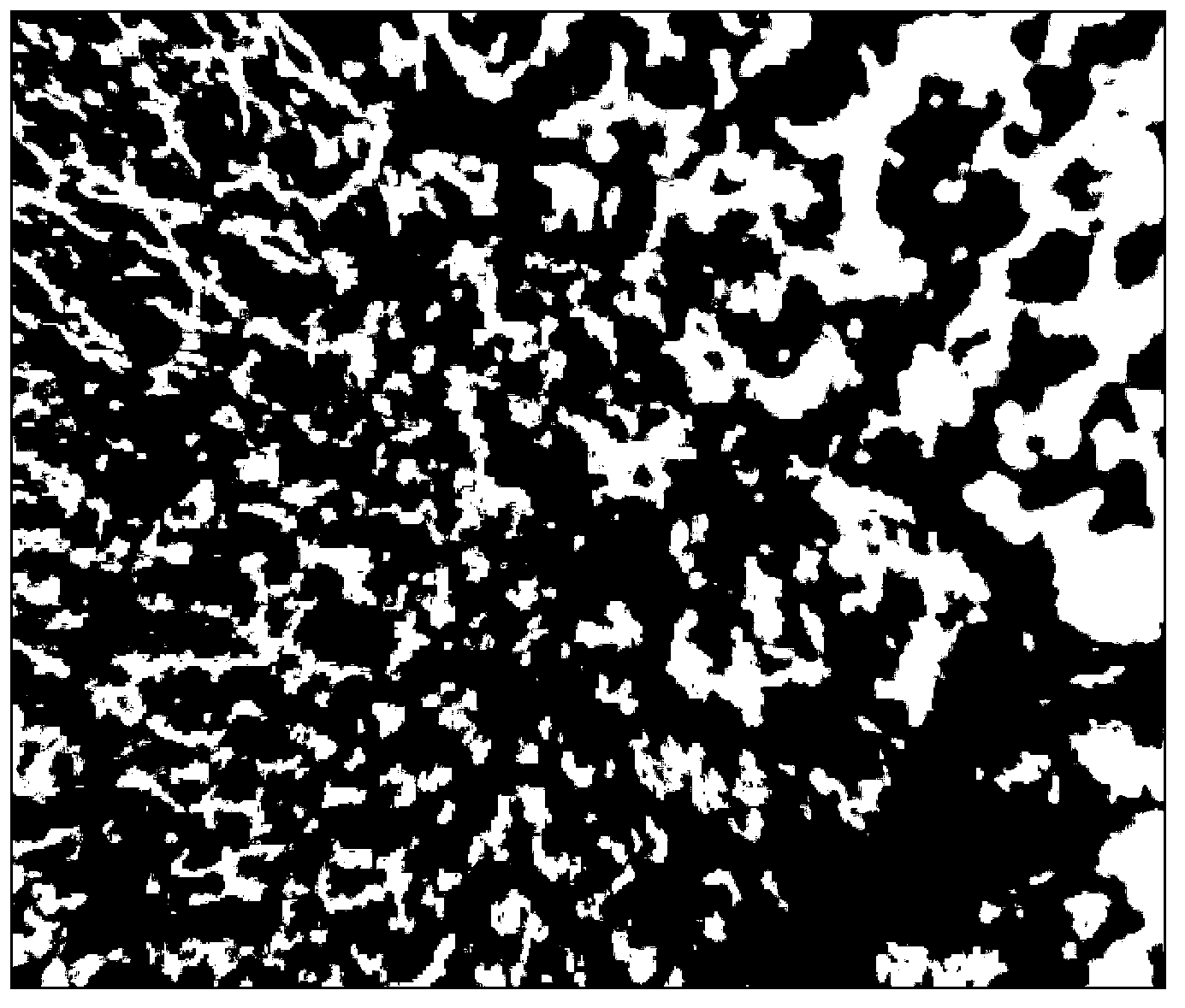 Porous chitosan metal porphyrin composite and preparation method and application thereof