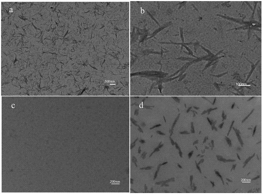 Preparation method of nano-composite hydrogel