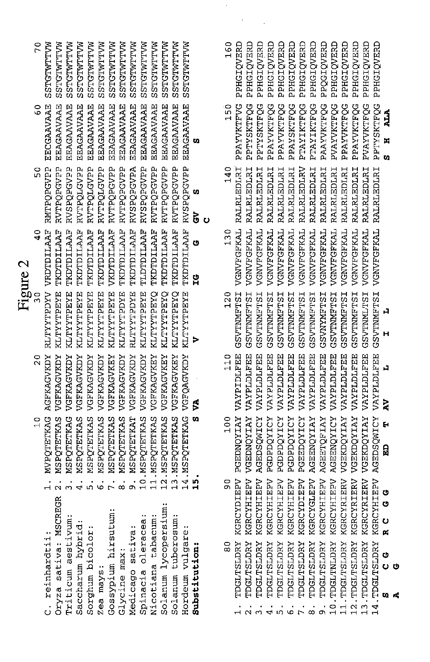 Methods of identifying and creating rubisco large subunit variants with improved rubisco activity,  compositions and methods of use thereof
