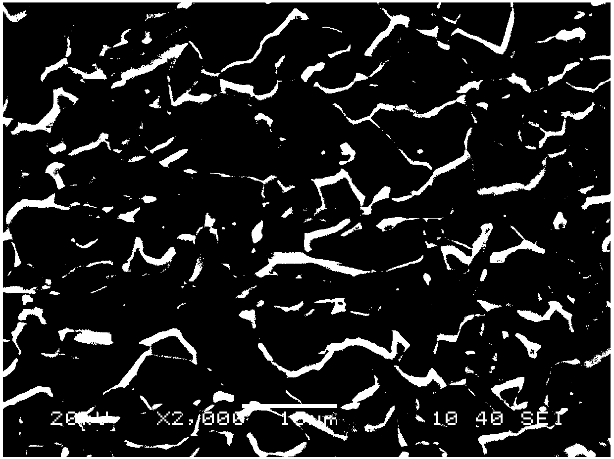 Hot-rolled dual-phase steel for automobile wheel and production method of hot-rolled dual-phase steel