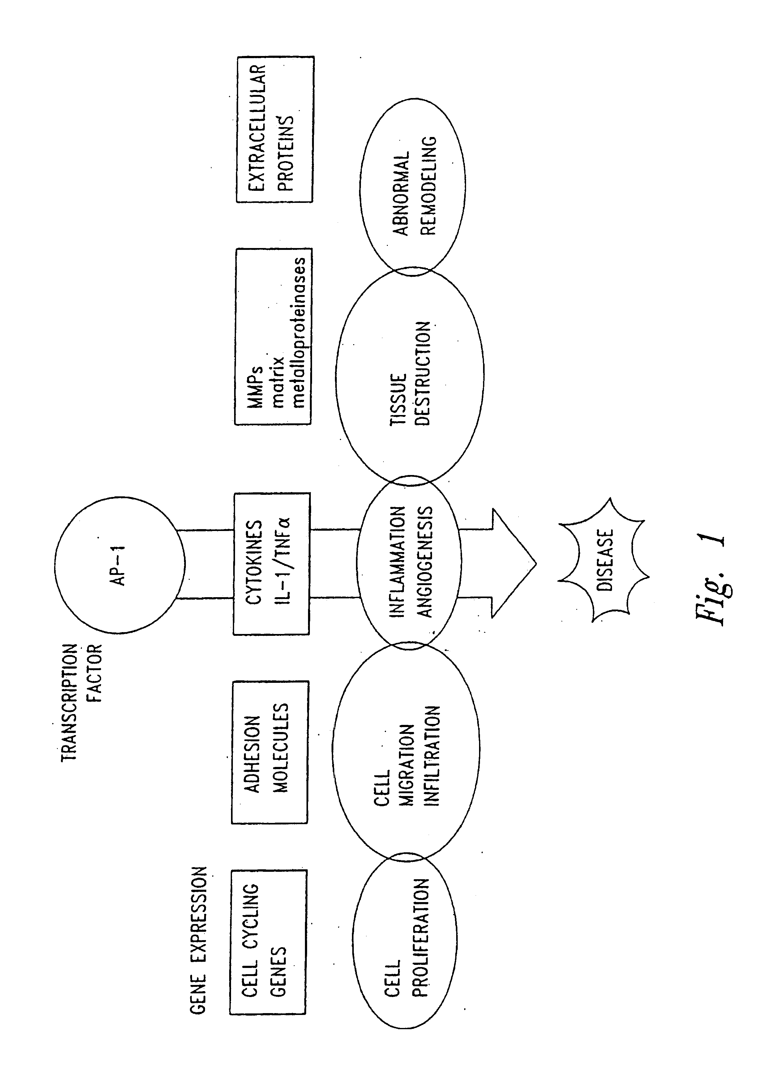 Compositions and methods for treating cellular response to injury and other proliferating cell disorders regulated by hyaladherin and hyaluronans