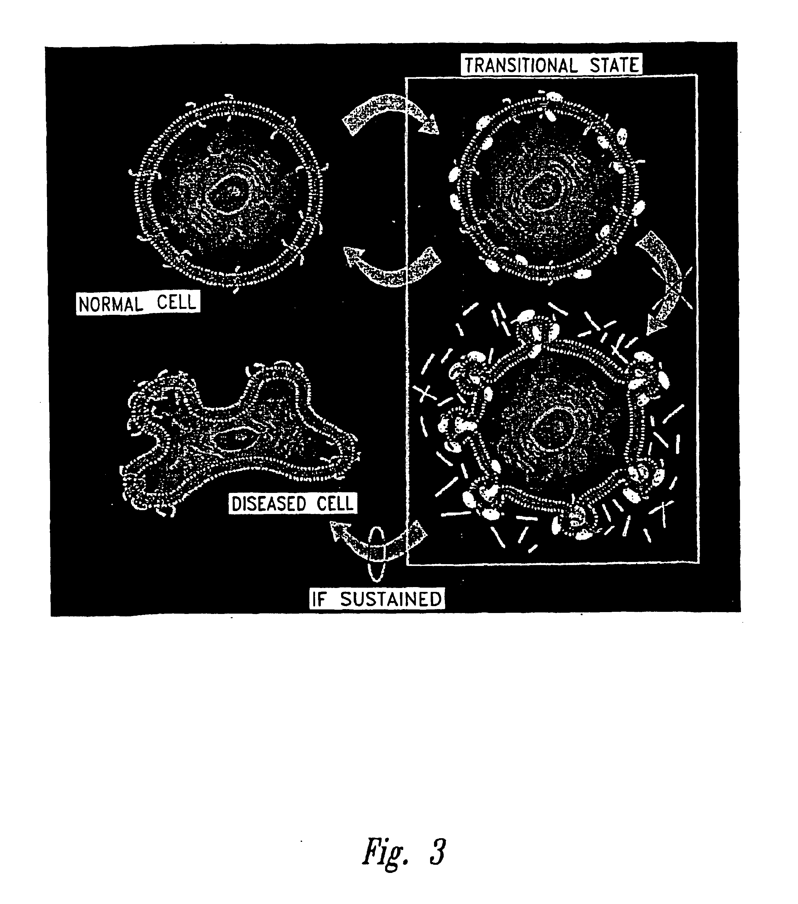 Compositions and methods for treating cellular response to injury and other proliferating cell disorders regulated by hyaladherin and hyaluronans