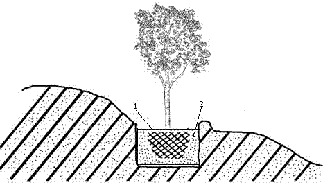 Method for planting trees in desert environment