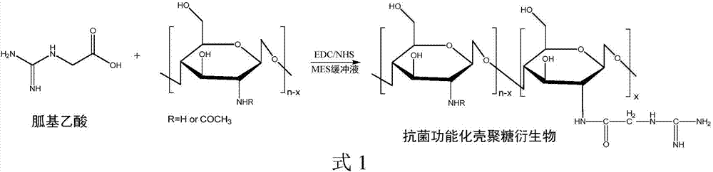 Preparation method of antimicrobial functionalized chitosan derivative