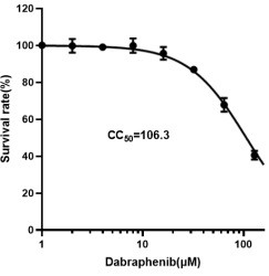 Application of dabrafenib and/or medicinal derivative thereof in preparation of anti-arenavirus drug