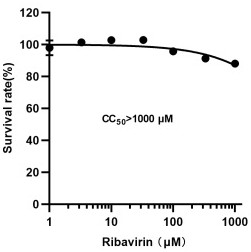 Application of dabrafenib and/or medicinal derivative thereof in preparation of anti-arenavirus drug