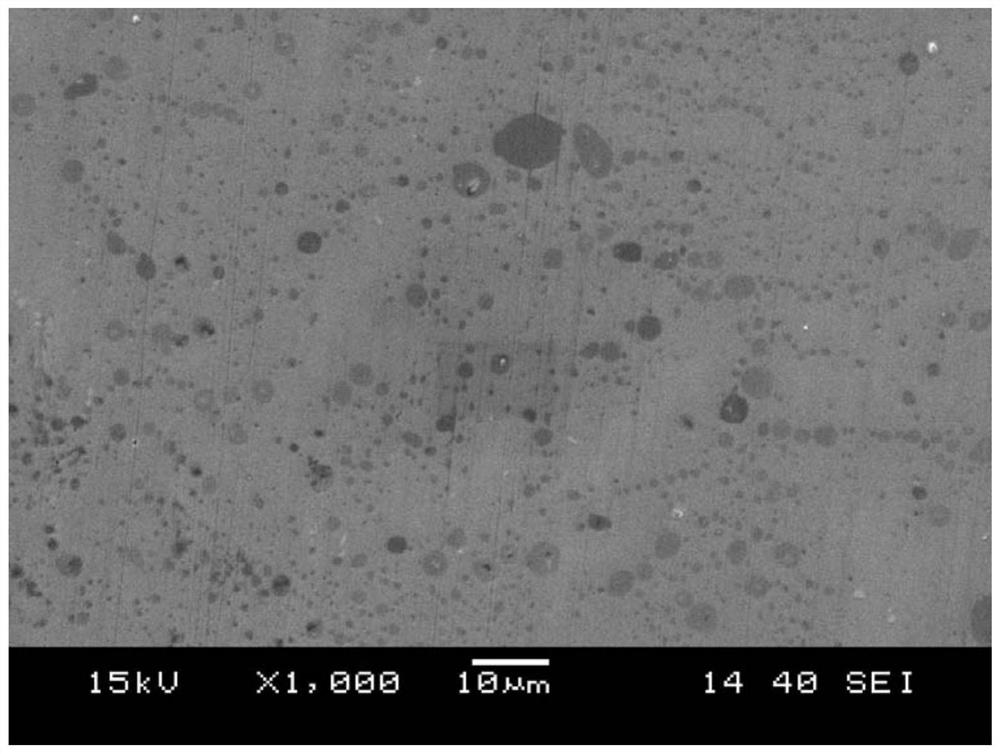 A kind of tungsten-nickel alloy and its preparation method