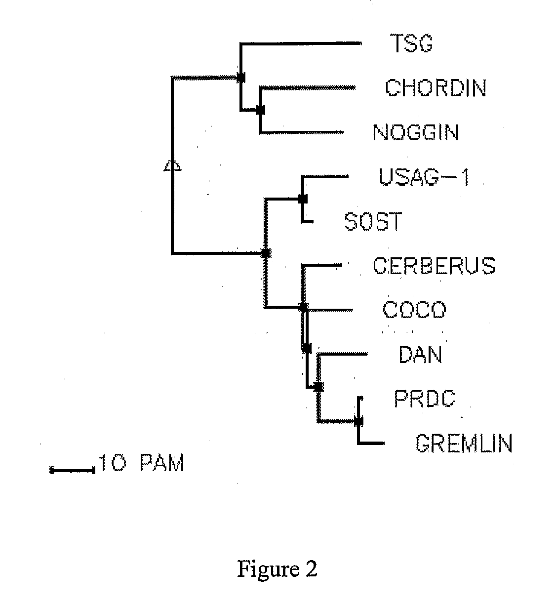 Tgf Derepressors and Uses Related Thereto