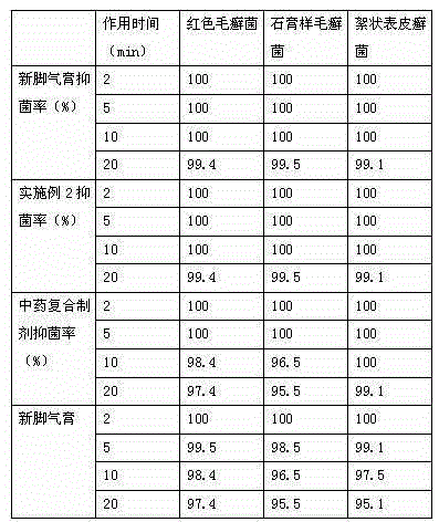 Antisepsis and anti-inflammation external traditional Chinese medicine compound gel and preparation method thereof