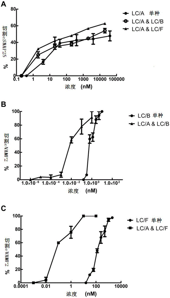 Activity combination screening method of botulinum neurotoxin proteins with different subtypes