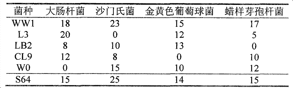 Lactobacillus reuteri fermented liquid feed, preparation method and application thereof