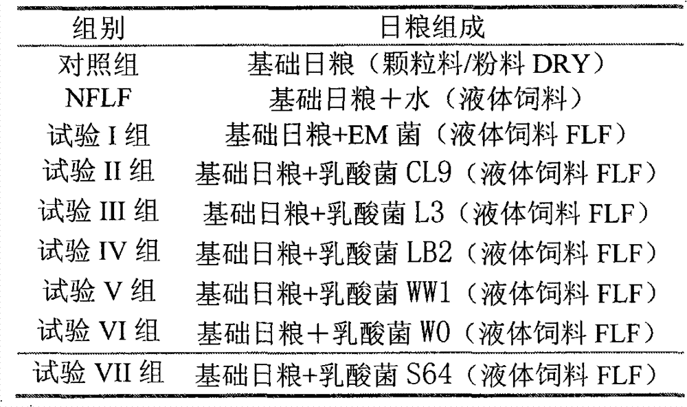 Lactobacillus reuteri fermented liquid feed, preparation method and application thereof