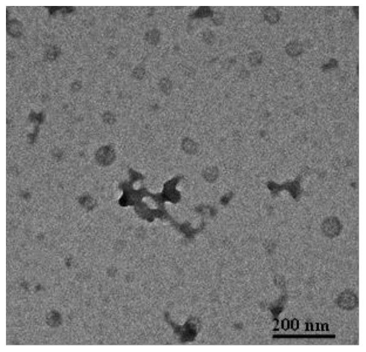 A kind of protein and photosensitizer co-delivery pH-responsive polyamino acid nanogel and preparation method thereof