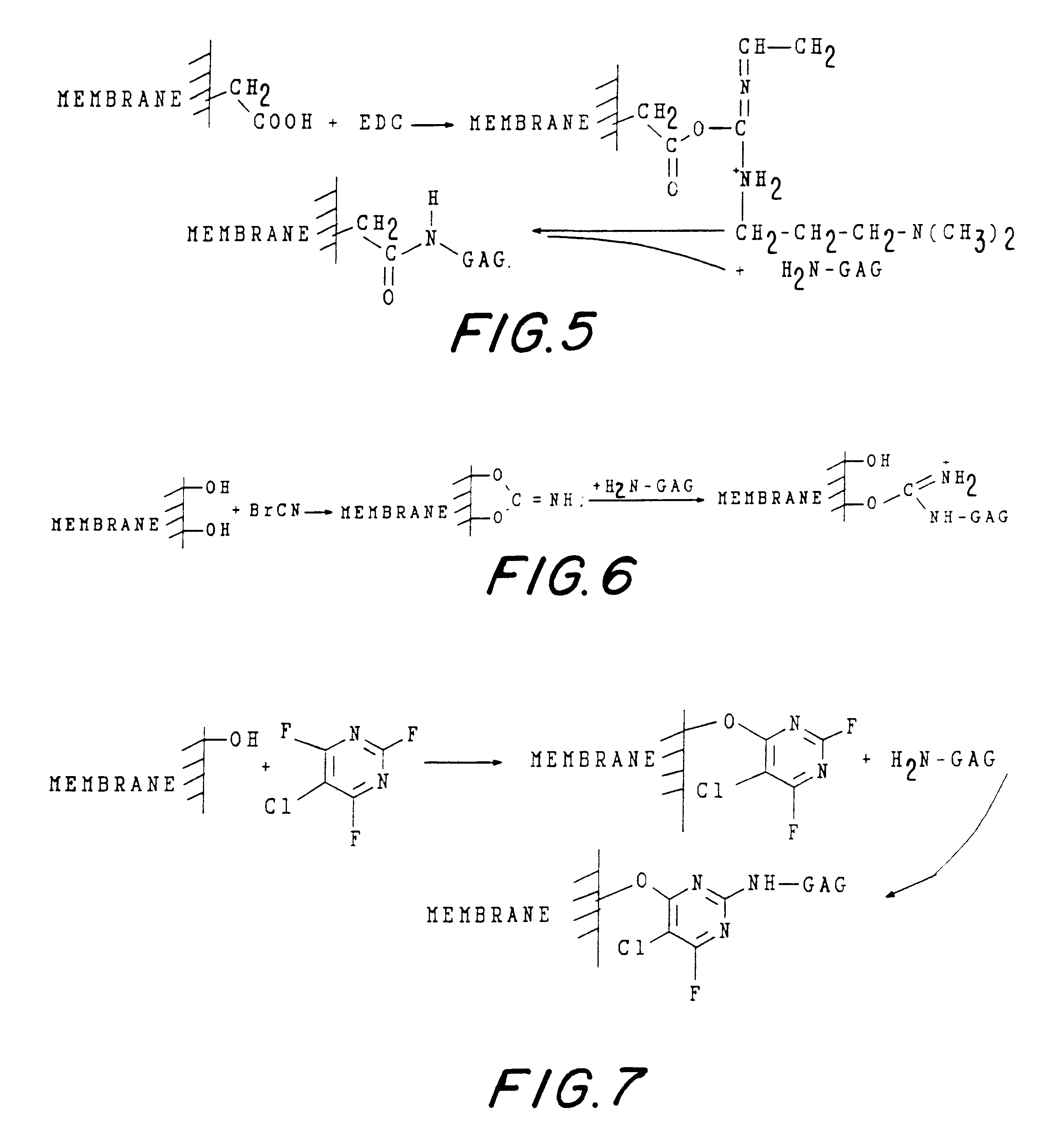 Non-immunogenic, biocompatible macromolecular membrane compositions, and methods for making them